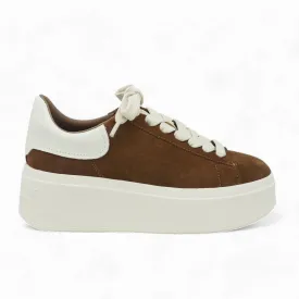 Sneakers ASH Moby Suede Land/Gardenia